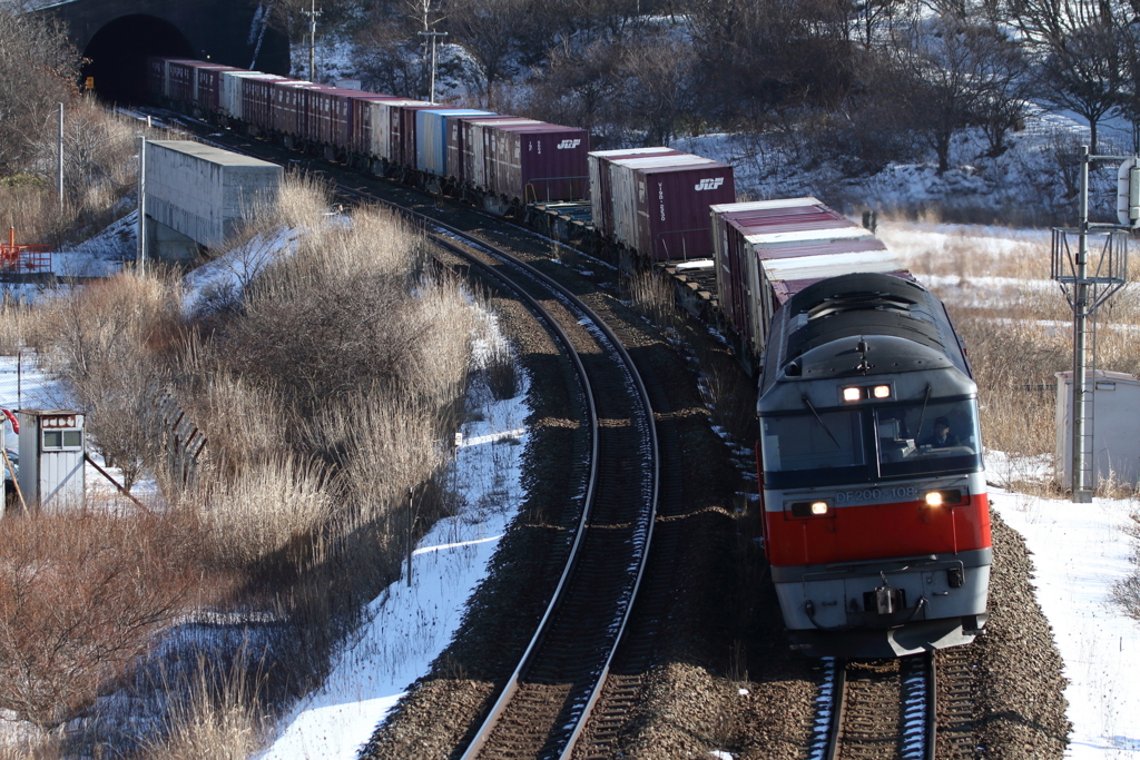 20160208-11 (12)