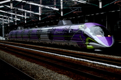 500 TYPE EVA
