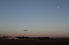 20121125 (28)
