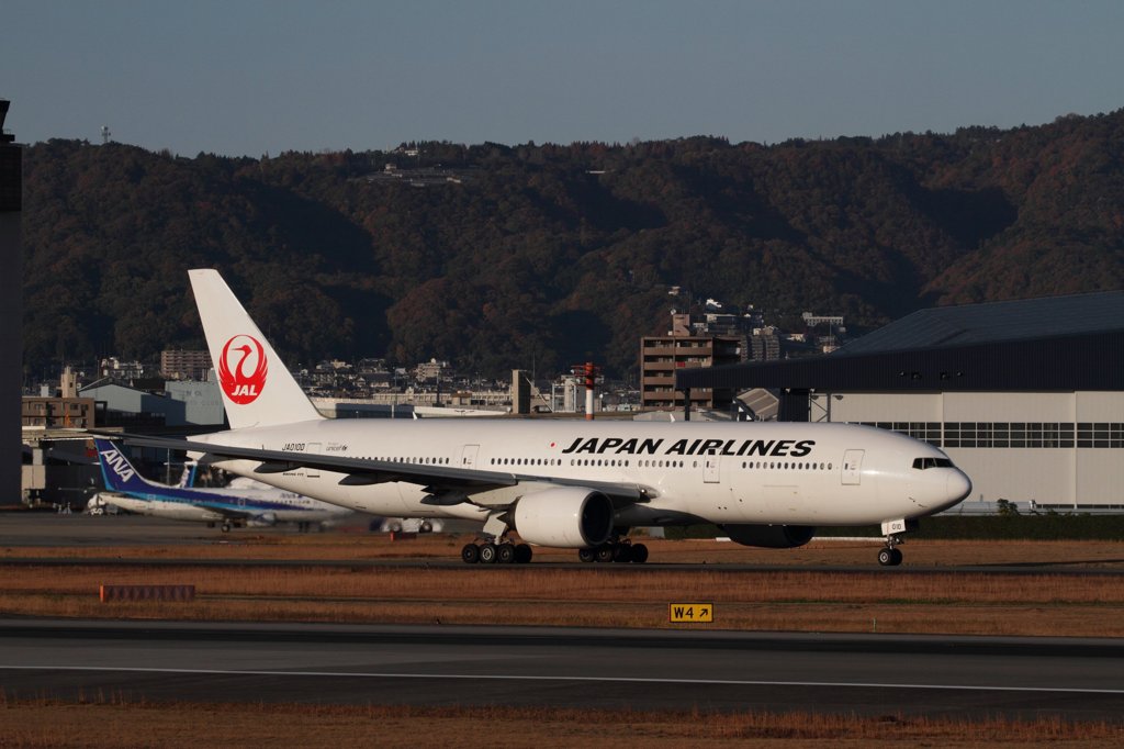 20121125 (17)