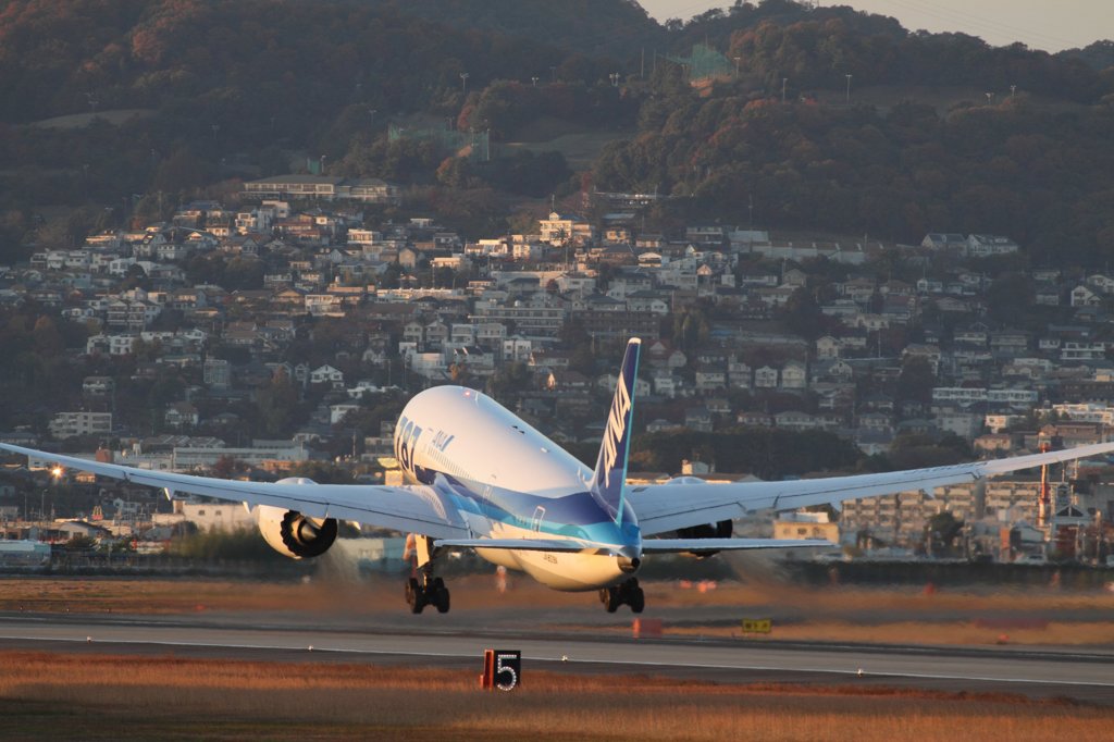 20121125 (26)