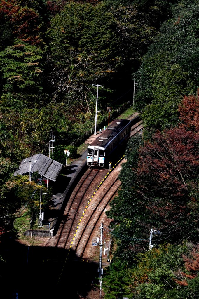 坪尻