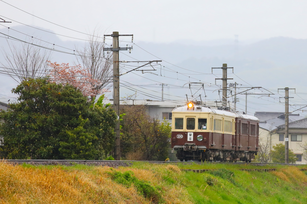 琴電レトロ電車 (1)