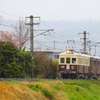 琴電レトロ電車 (1)