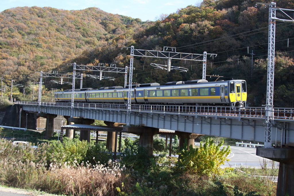 20161115 (19)