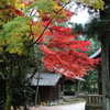 とある神社の秋の境内