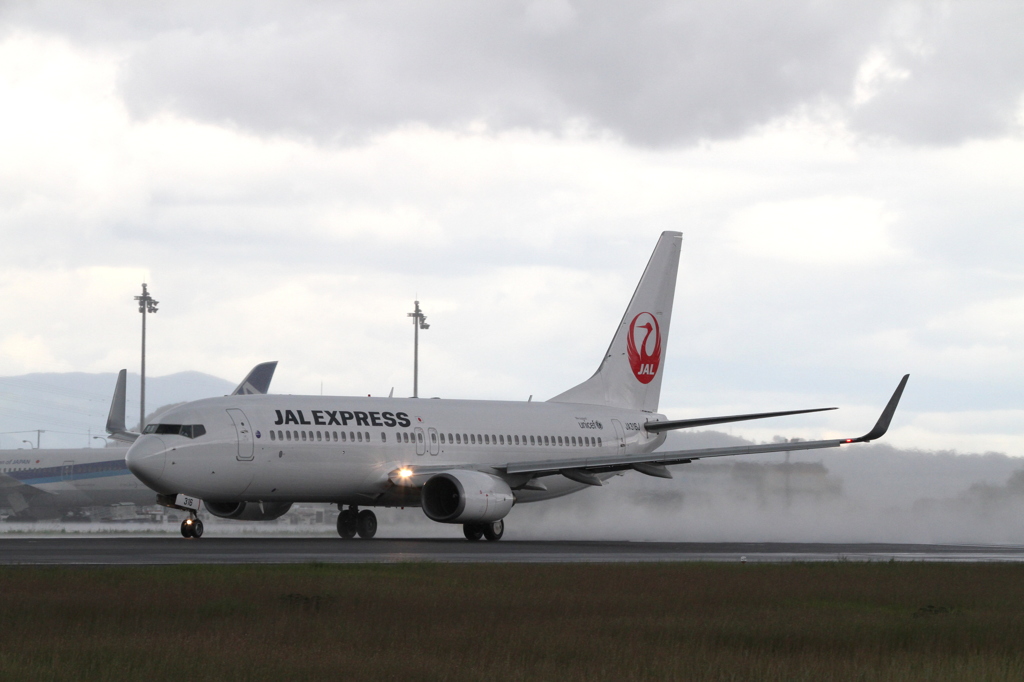 JAL B737-800