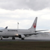 JAL B737-800