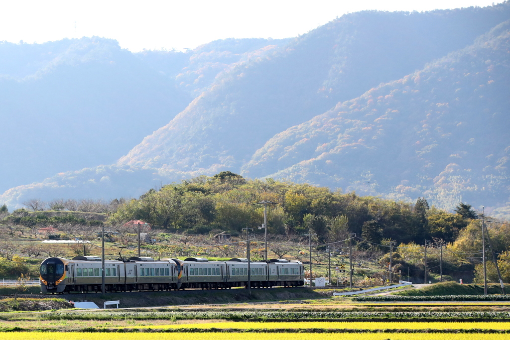 JR四国　特急しおかぜ