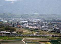 20160415 (3)