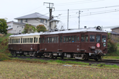 琴電レトロ電車 (3)