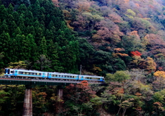 2000系と紅葉