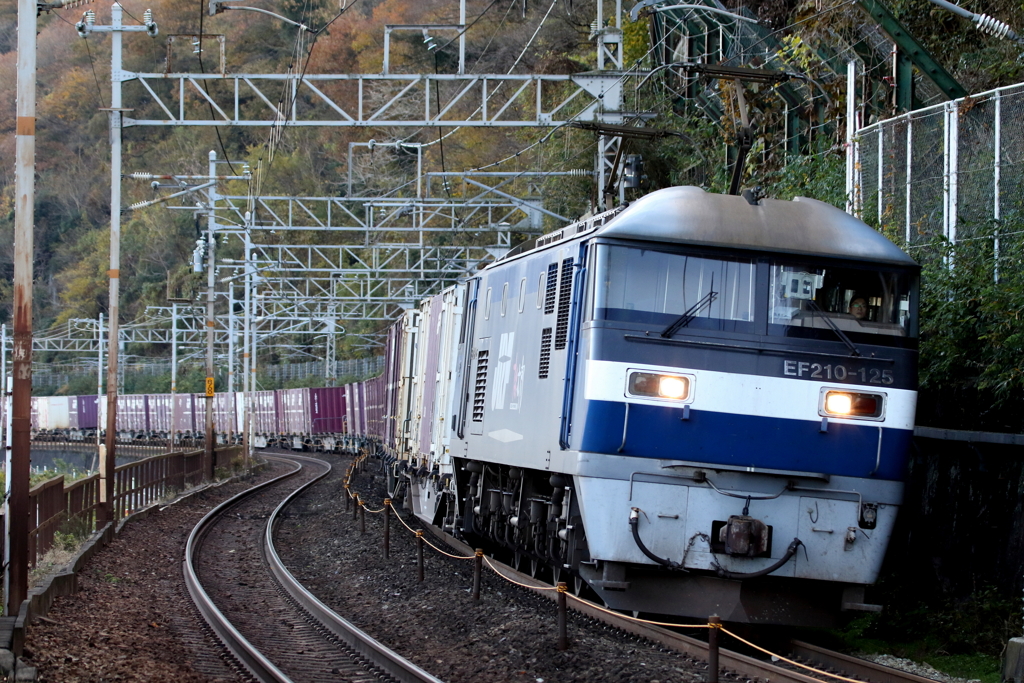 20161115 (17)