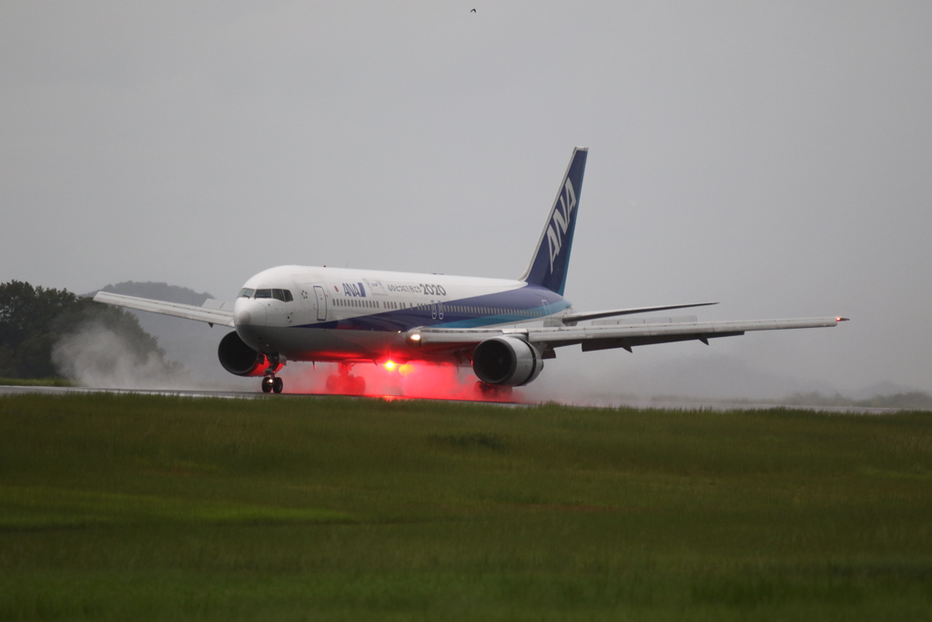 雨中　ANA B767-300