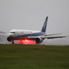 雨中　ANA B767-300