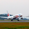 JAL DREAM EXPRESS FANTASIA 80