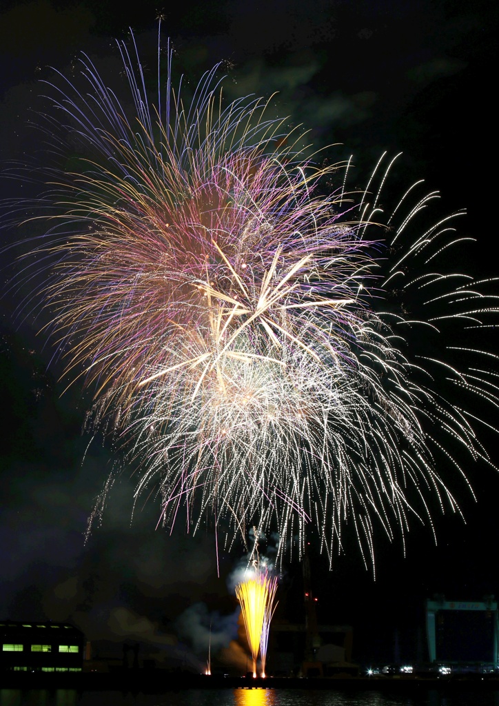 TADOTSU204 (2)