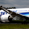 ANA B787-8