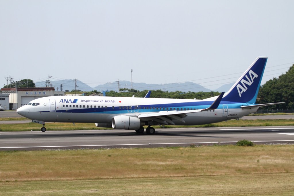 ANA B737-800