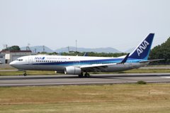 ANA B737-800