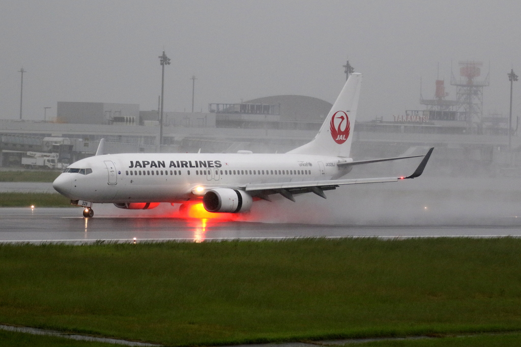 雨中　JAL B737-800 