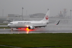 雨中　JAL B737-800 