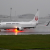 雨中　JAL B737-800 
