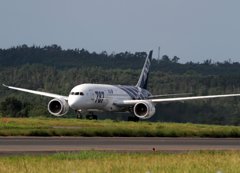 ANA B787-8 JA801A