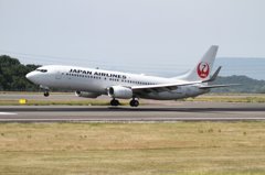 JAL B737-800