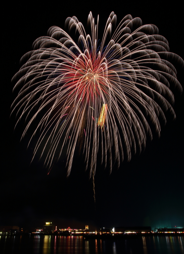 basara2016 (16)