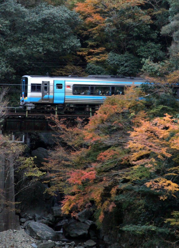 秋を行く
