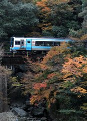 秋を行く