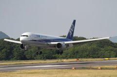 ANA B767-300