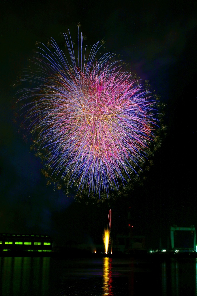 TADOTSU204 (3)