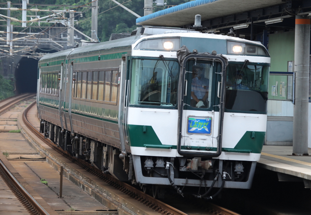 185系特急しおかぜ・南風 運航開始50周年記念号