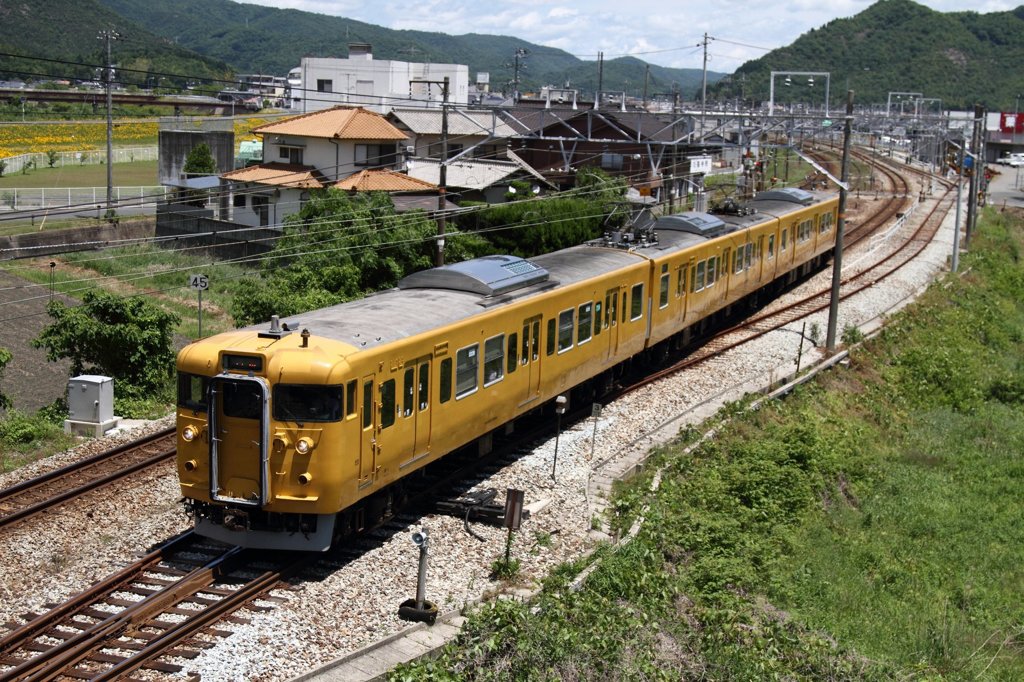 115系