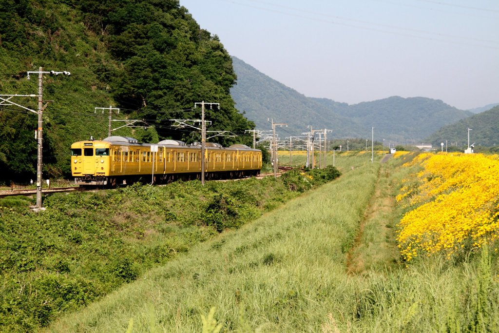 20150526 (6)
