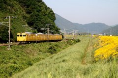20150526 (6)