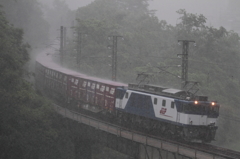 大雨の伯備線を行く