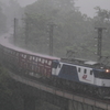 大雨の伯備線を行く