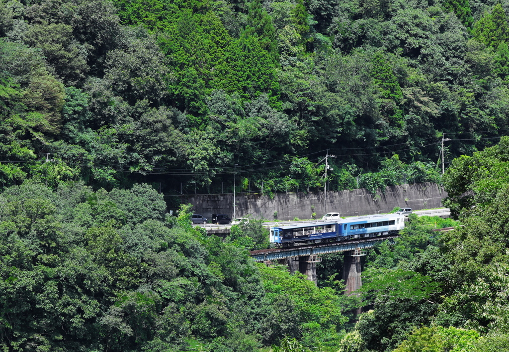 藍　よしのがわ　トロッコ
