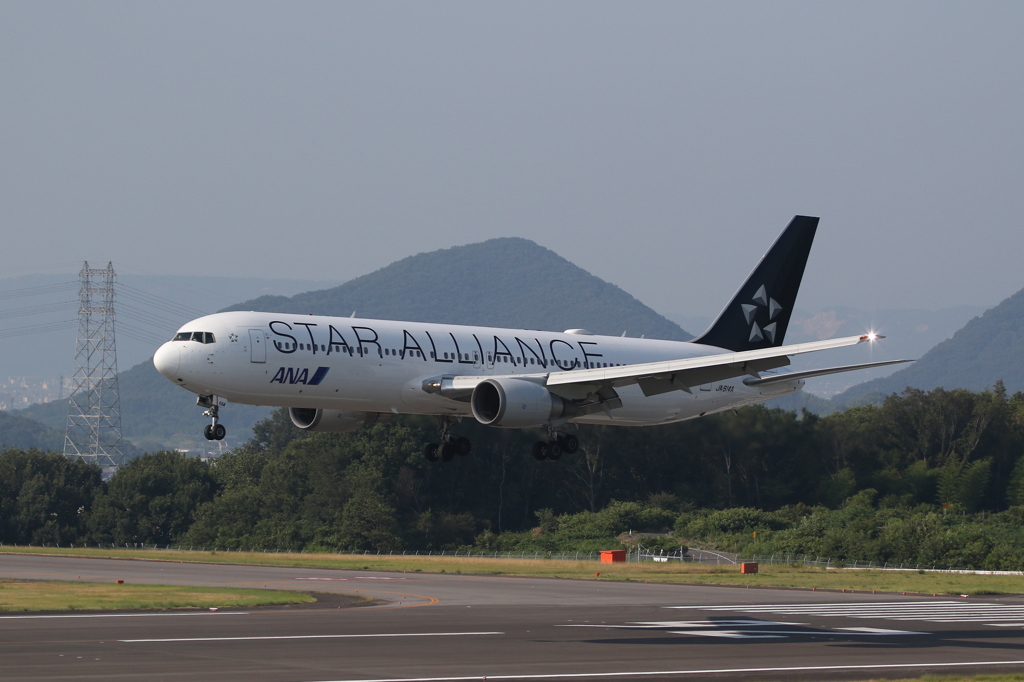 ANA B767-300 Star Alliance