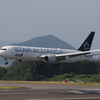 ANA B767-300 Star Alliance