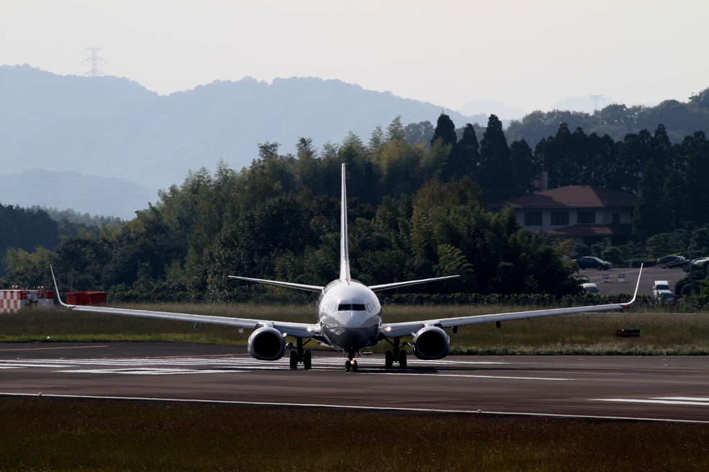 ANA B737-800