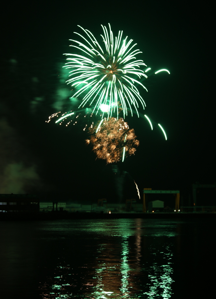 tadotsu2016 (7)