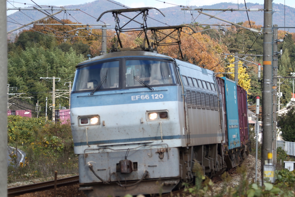 20161115 (24)