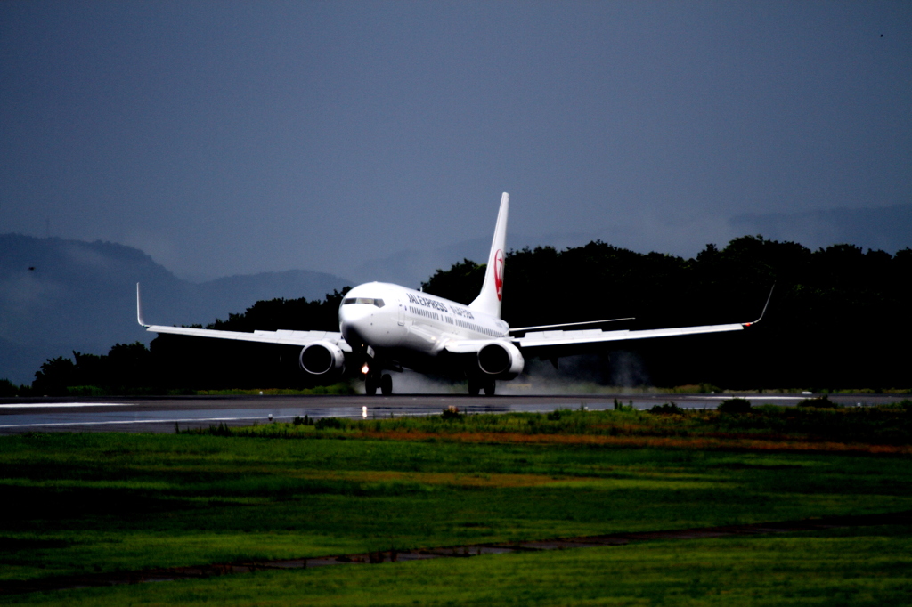 JAL B737-800 鶴丸
