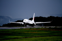 JAL B737-800 鶴丸