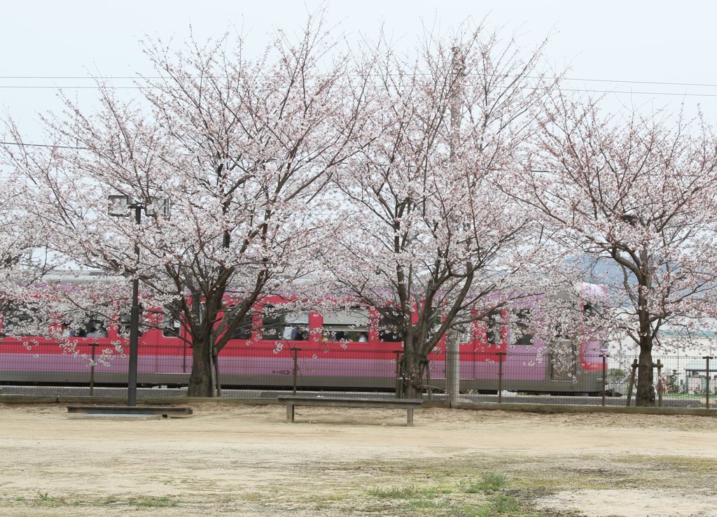 20130329 (8)