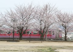 20130329 (8)